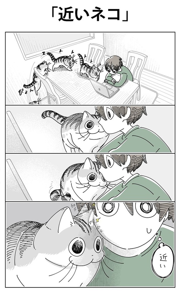 「近いネコ」01