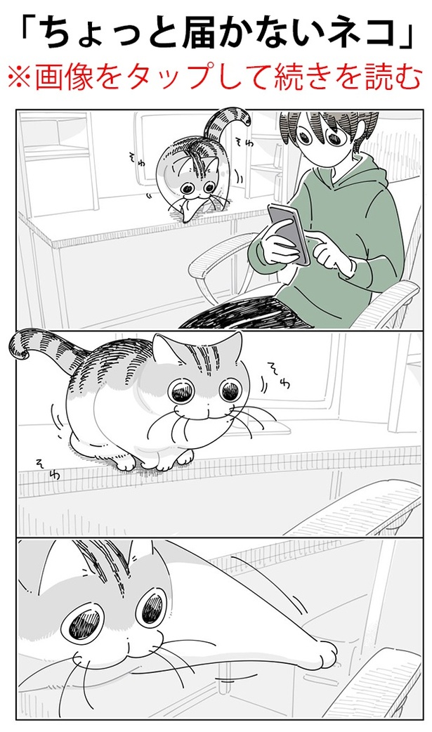 「ちょっと届かないネコ」01
