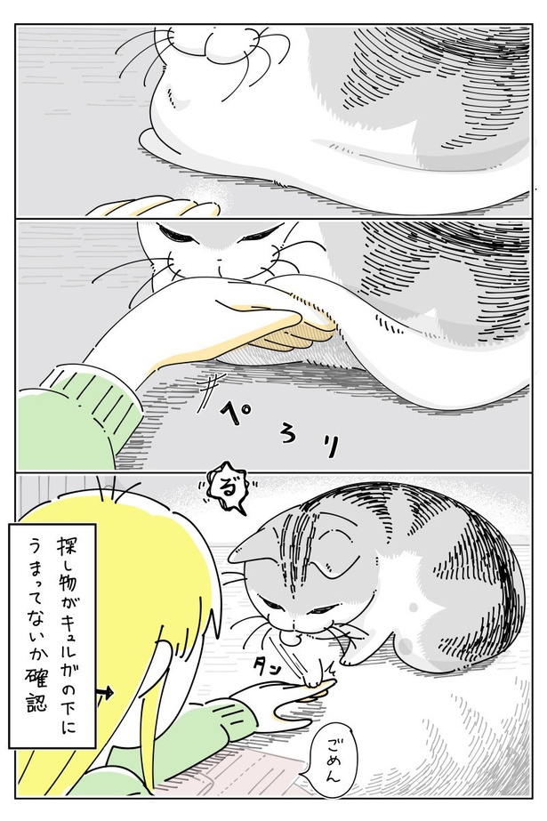 「ネコと探し物」02