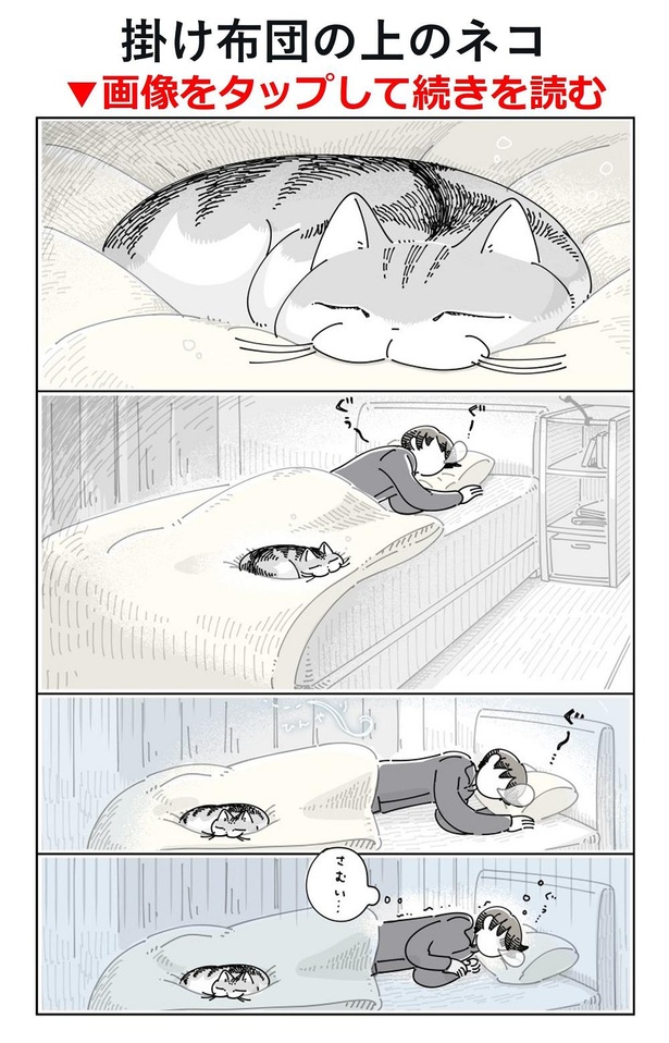 「掛け布団の上のネコ」01