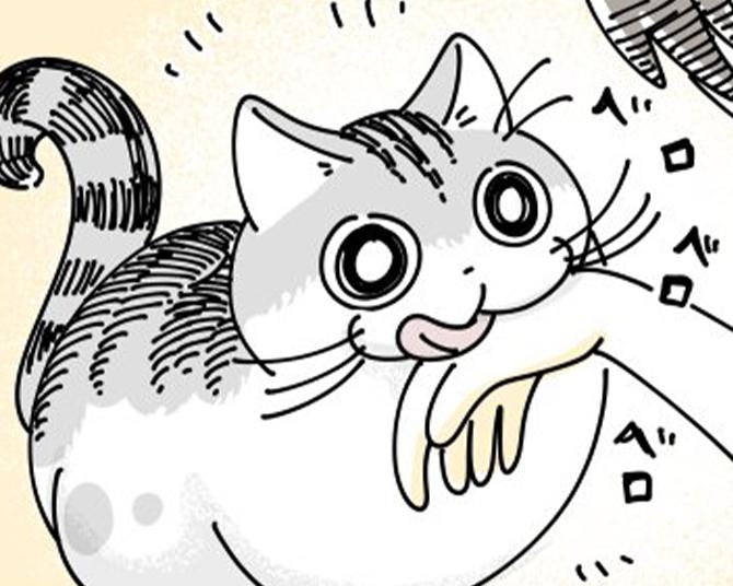 【ネコ漫画】大好きなおやつにご機嫌な愛猫!?その表情に「めっちゃわかる」などの共感コメント＆8.1万いいね