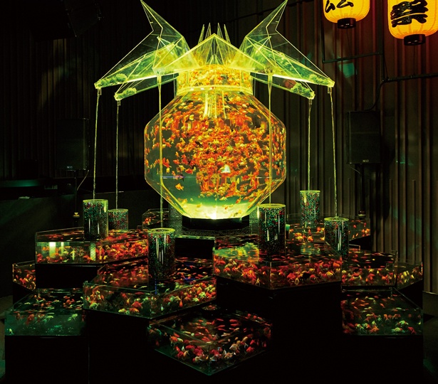画像3 8 絶景イルミ 圧巻のアートアクアリウムも 京都イルミネーションカタログ ウォーカープラス