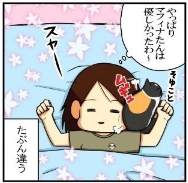 マフィナの優しさ_P11