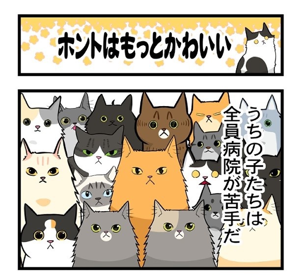ホントはもっとかわいい_P01