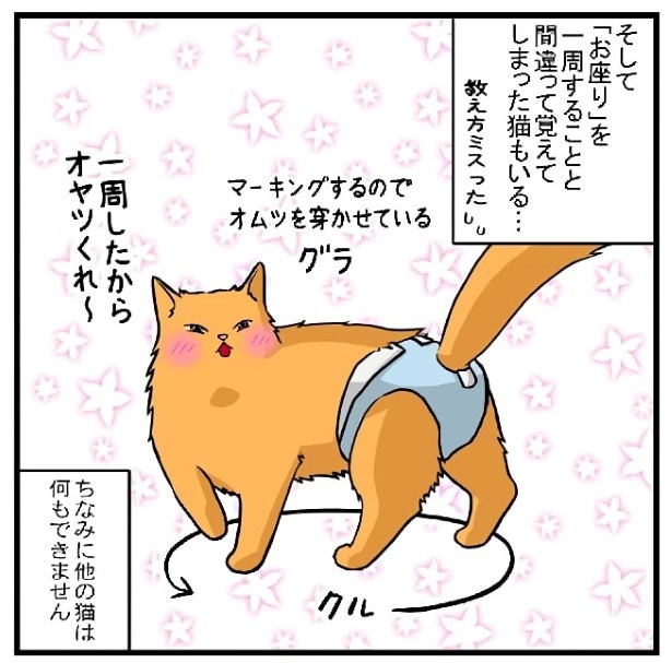 お座りとお手のできる子_P02