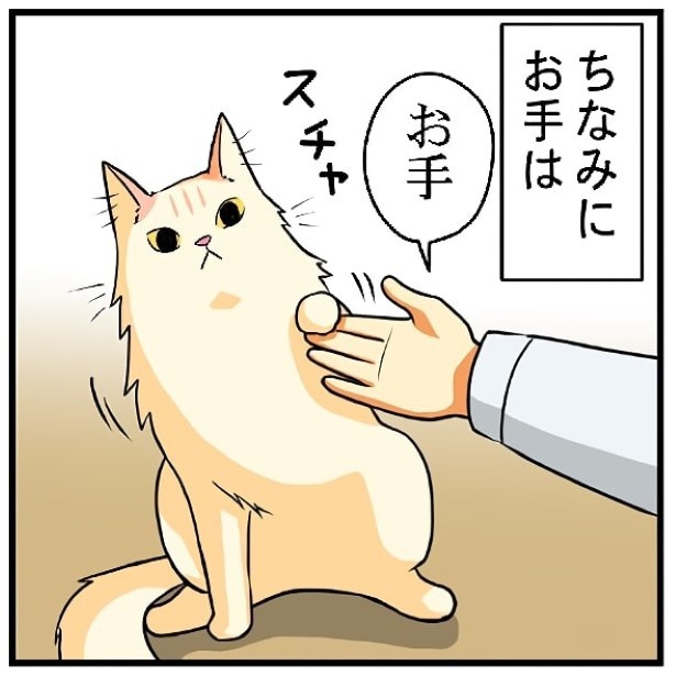 お座りとお手のできる子_P06