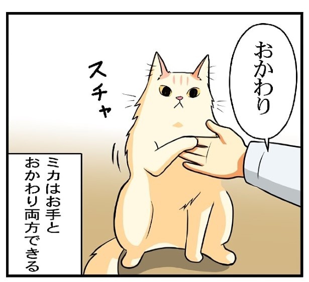 お座りとお手のできる子_P07
