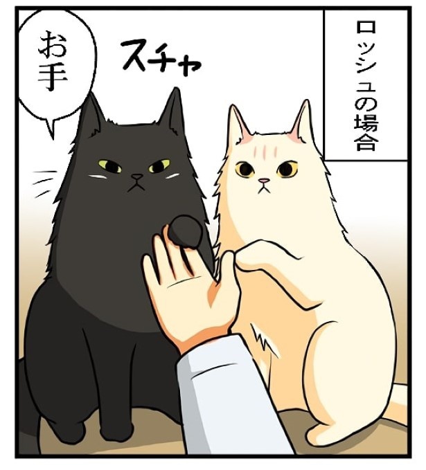 お座りとお手のできる子_P08
