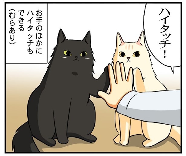 お座りとお手のできる子_P09