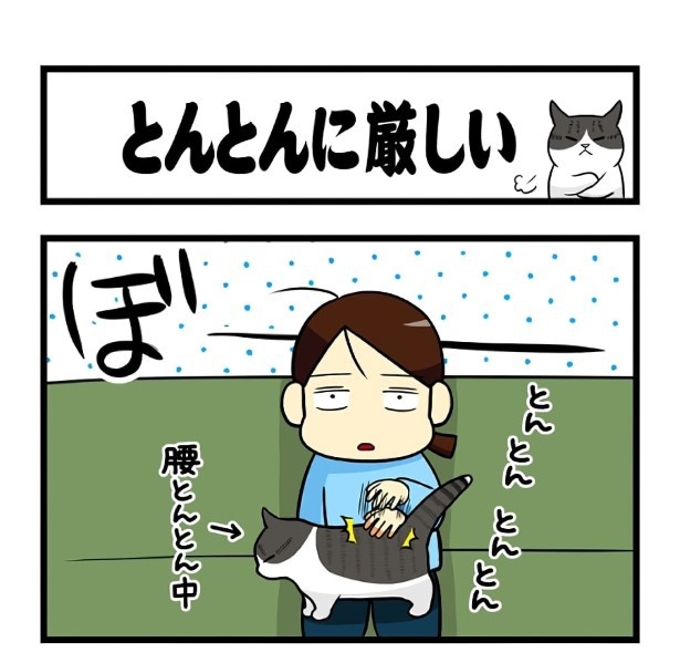 とんとんに厳しい_P01