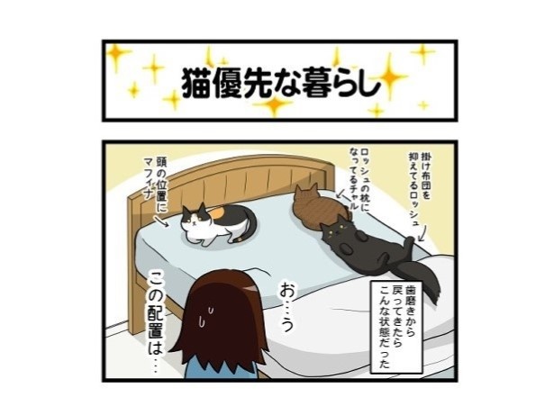 猫優先な暮らし_01
