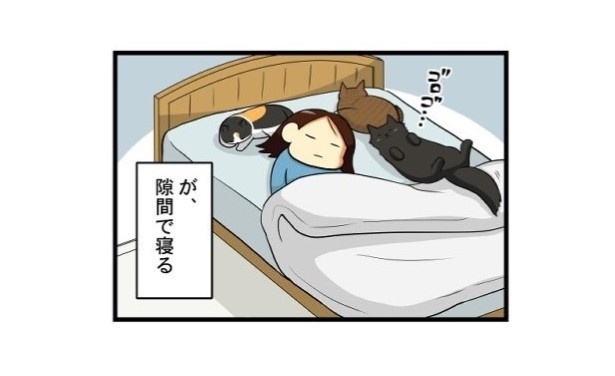 猫優先な暮らし_03
