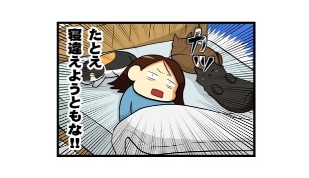 猫優先な暮らし_04