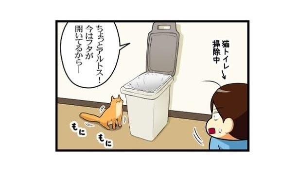器用な子猫_02