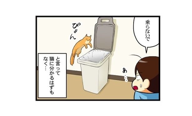 器用な子猫_03