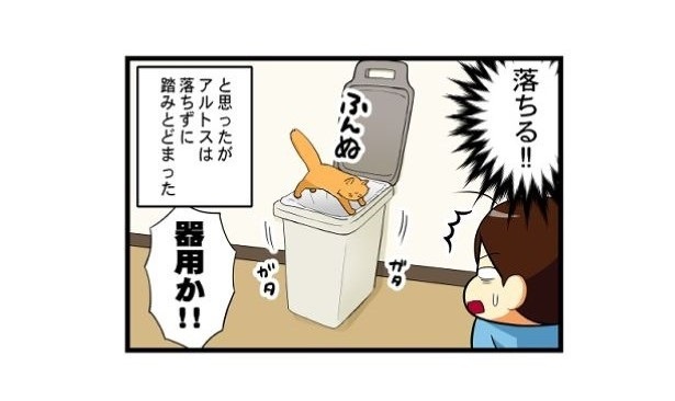 器用な子猫_04