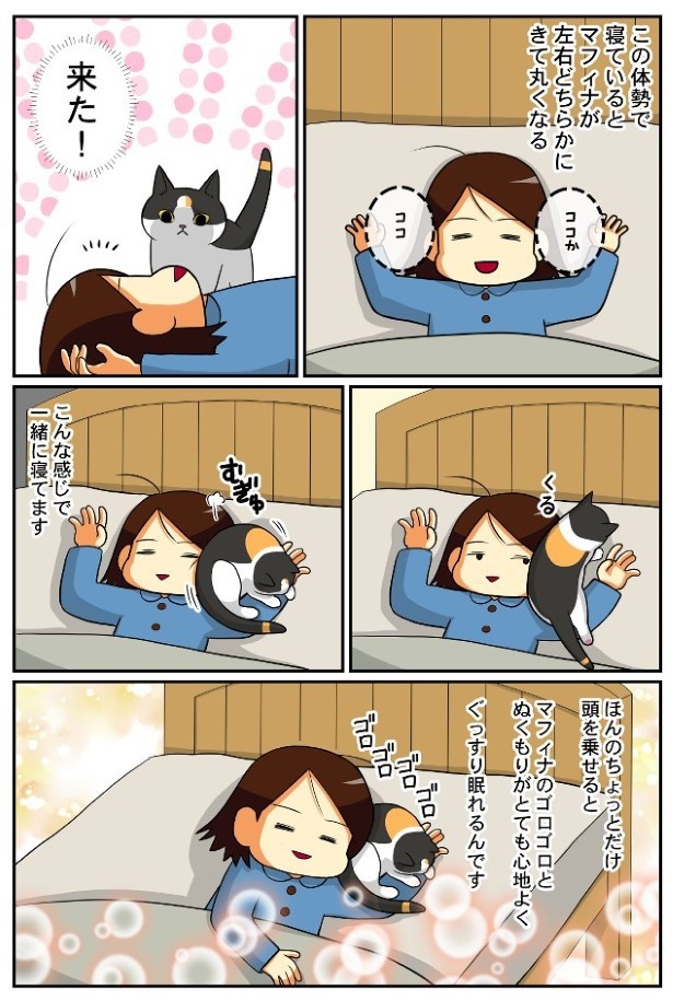 最高のまくら_P01