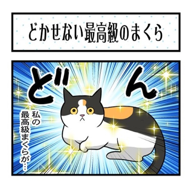 どかせない最高級のまくら_01