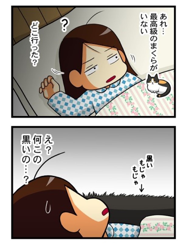 黒いもじゃもじゃ枕_2