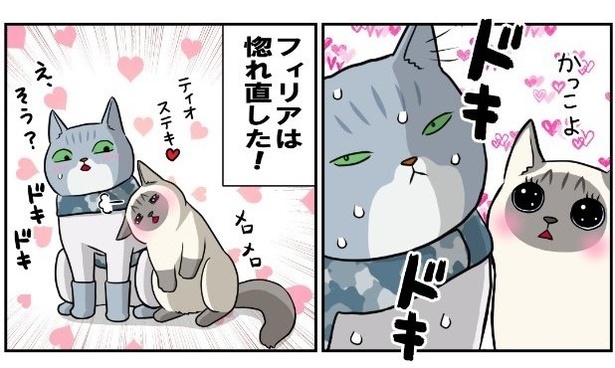 猫の記憶力のつづき6