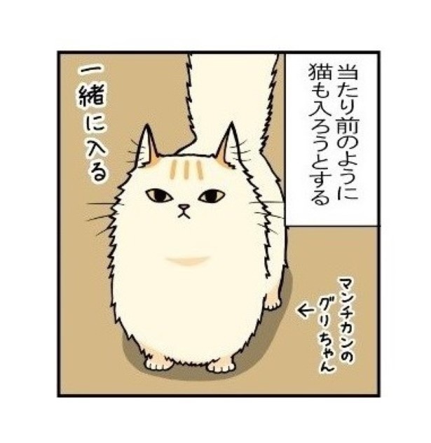 弾丸の如く_02