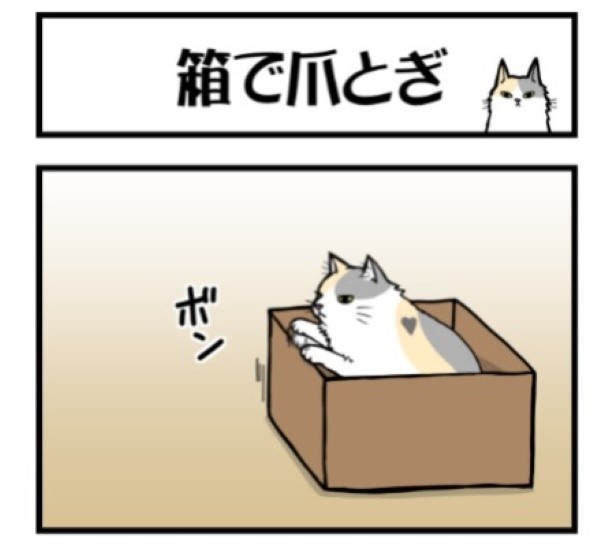チキンレース01