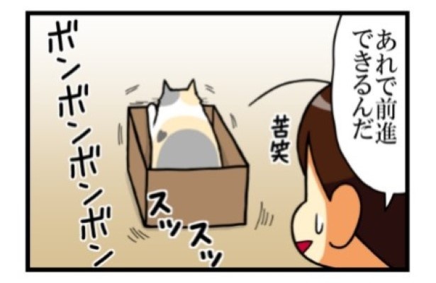 チキンレース04