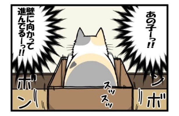 チキンレース08