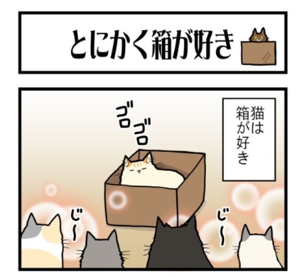 とにかく箱が好き01