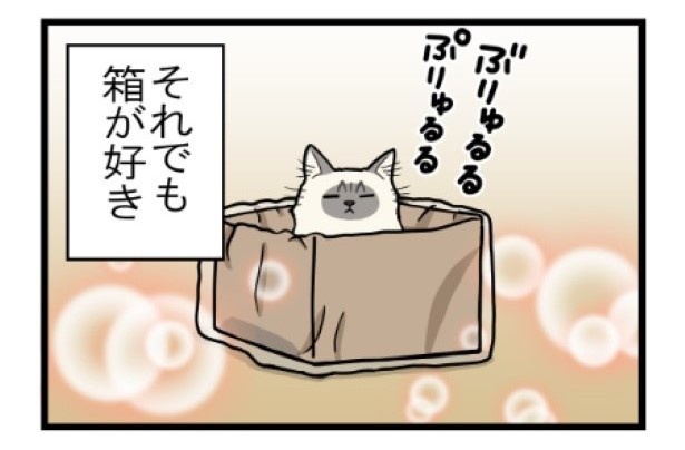 とにかく箱が好き04