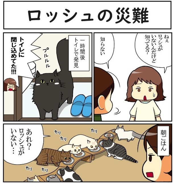 ロッシュの災難01