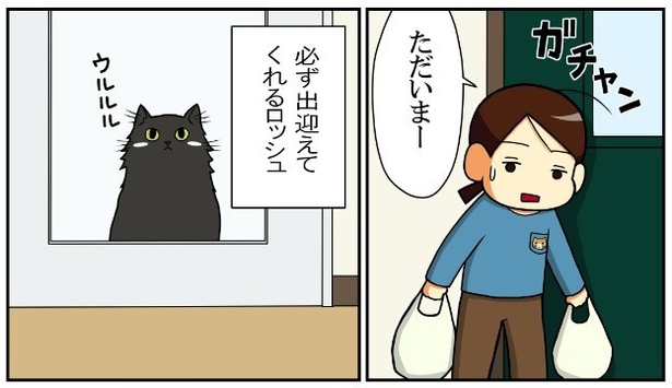 ロッシュの災難03