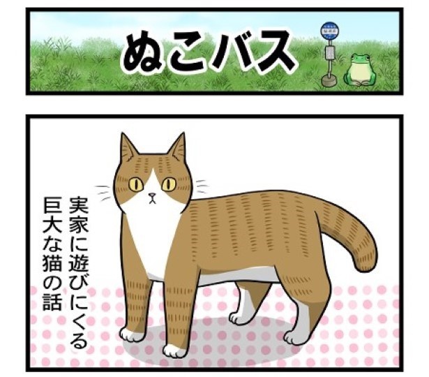 ぬこバス1