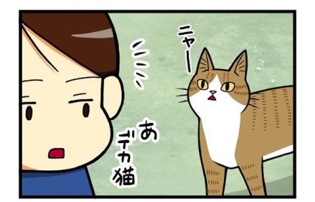ぬこバス2