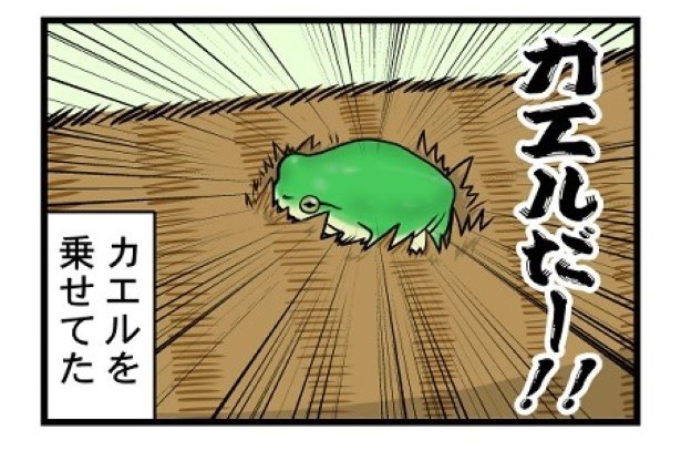 ぬこバス4