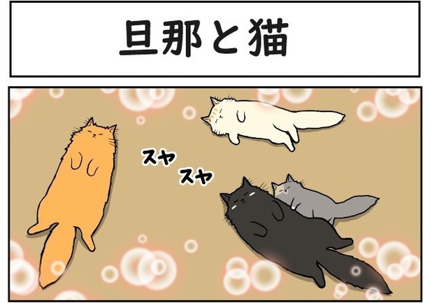 旦那と猫1