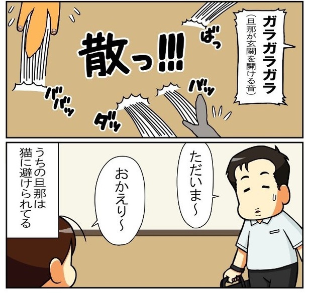 旦那と猫2