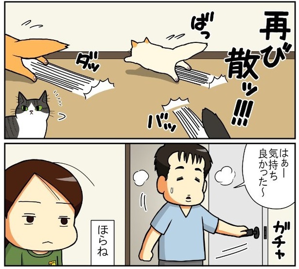旦那と猫4