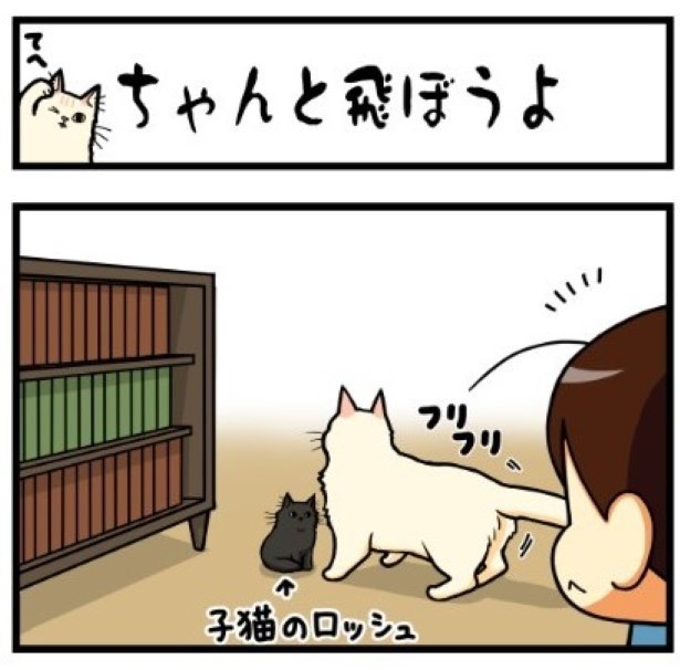 ちゃんと飛ぼうよ1