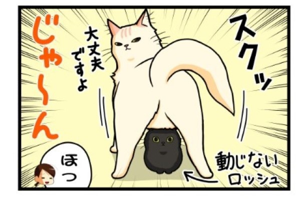 ちゃんと飛ぼうよ4