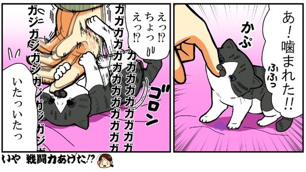 昔飼ってた猫1話_「命名」4