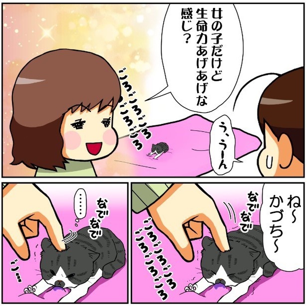 昔飼ってた猫1話「命名」3