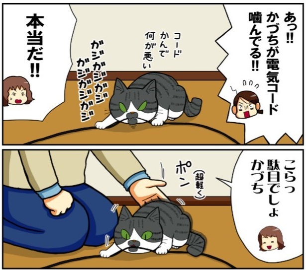 昔飼ってた猫2話「かづちのモットー」1