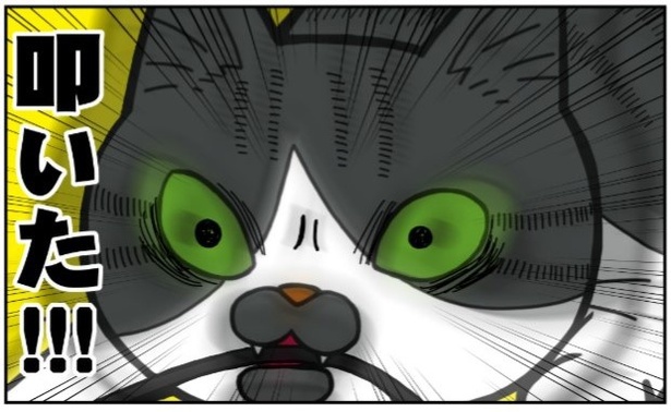 昔飼ってた猫2話「かづちのモットー」2
