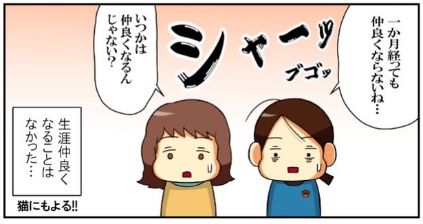 昔飼ってた猫3話「うちらの失敗談」4