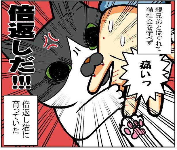 昔飼ってた猫2話「かづちのモットー」4