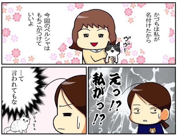 昔飼ってた猫4話「ペルシャの子猫の名前は」1
