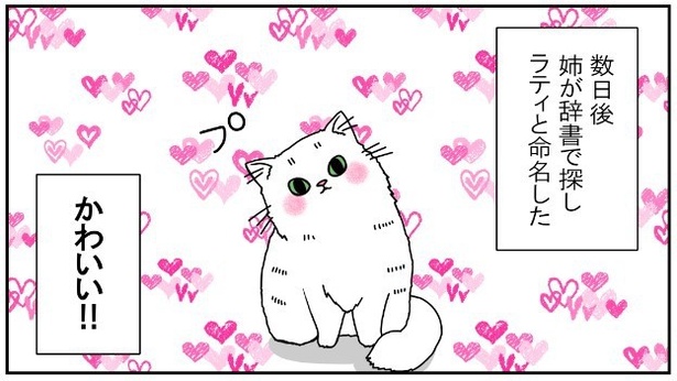 昔飼ってた猫4話「ペルシャの子猫の名前は」4