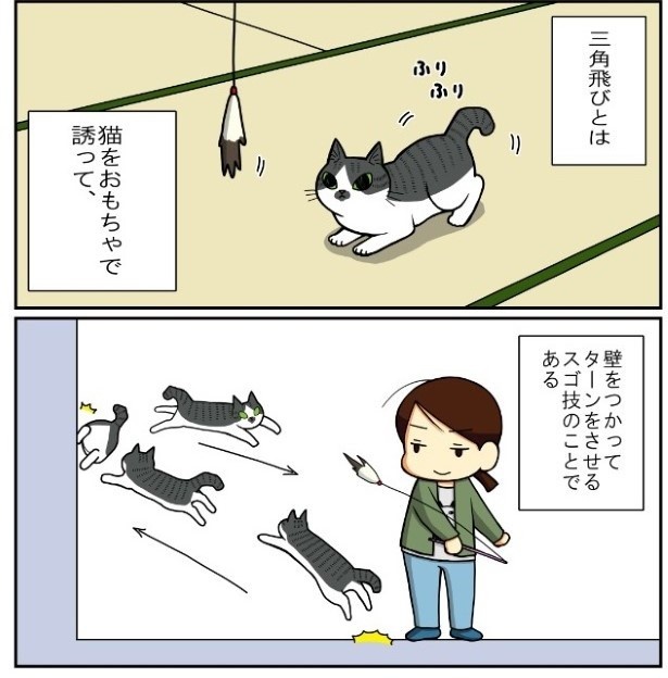 昔飼ってた猫6話「かづちの特技」2