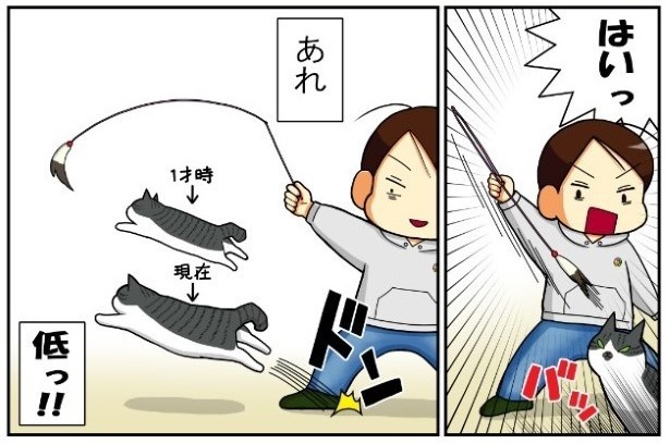 昔飼ってた猫7話「三角飛び_かづち大人編」2
